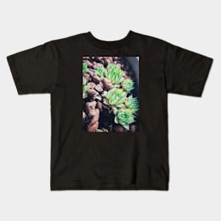 Succulents in retro colors Kids T-Shirt